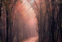 万博体育官网：第二届上海合作组织雪地足球赛开赛 揭幕战中国队胜出中国新闻网.