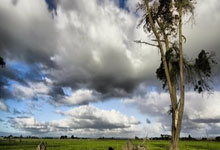 梅西观战！37岁德约70分钟2-0进决赛：提433万奖金 冲生涯第100冠.